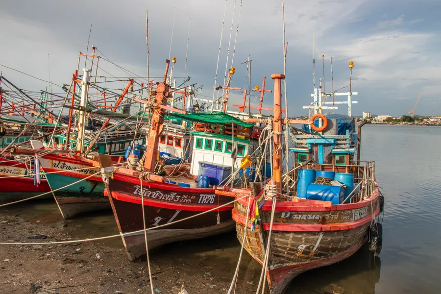 Bateaux de pêche colorés amarrés à Pattaya, à l’image du port de Naklua.