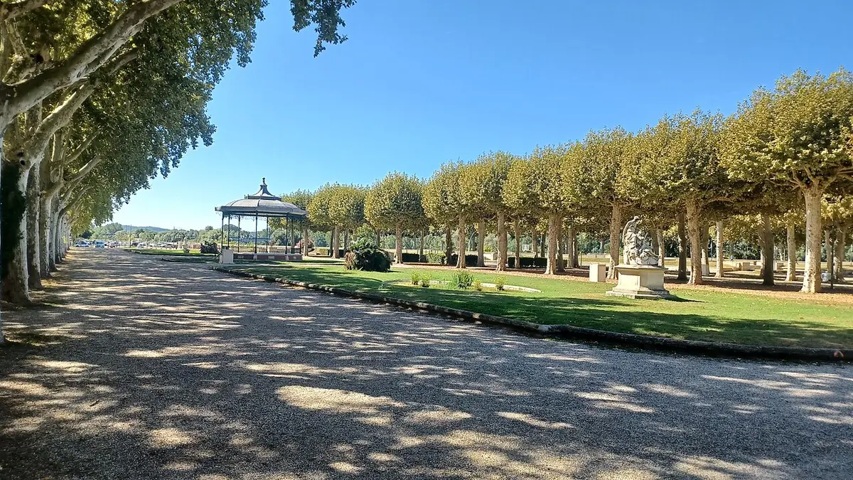 Une esplanade bordée de platanes à Agen