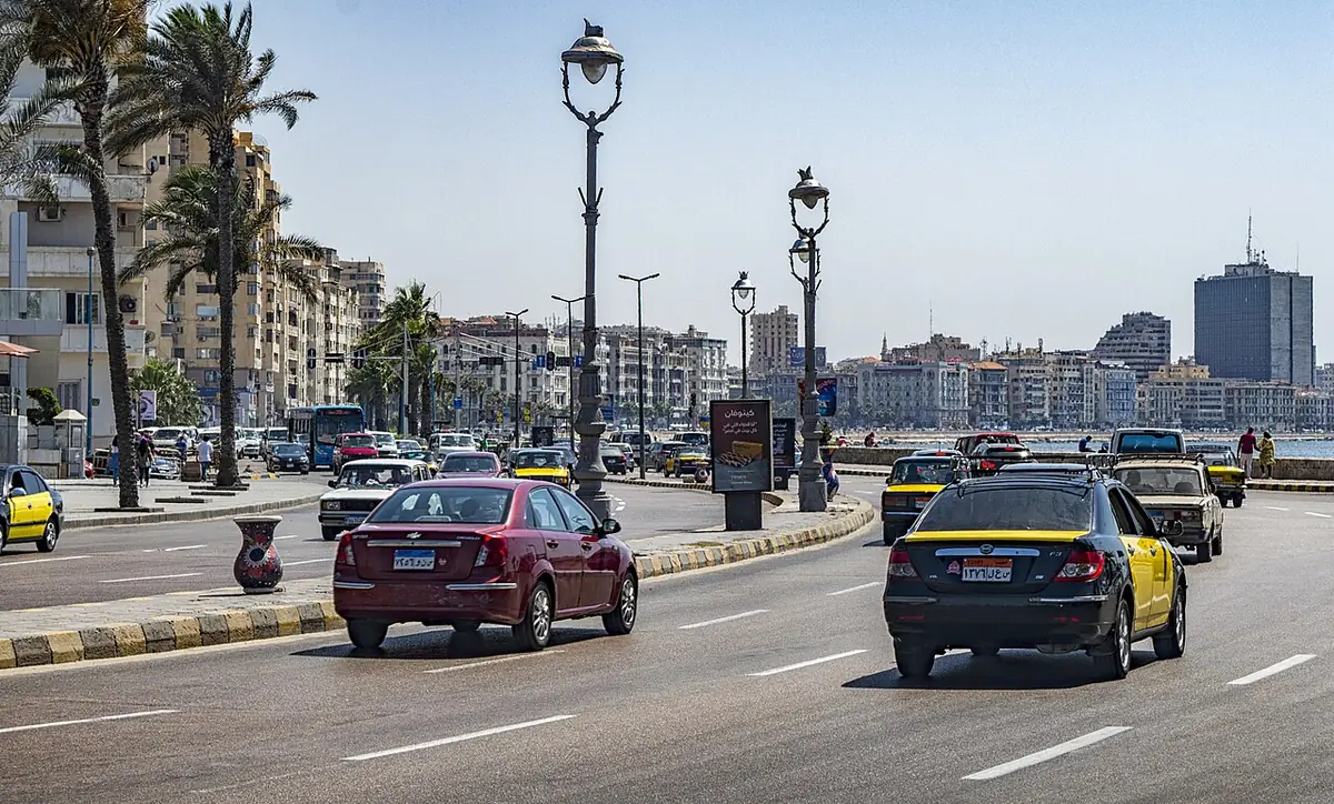 La corniche d’Alexandrie bordée de palmiers, avec taxis et immeubles au loin