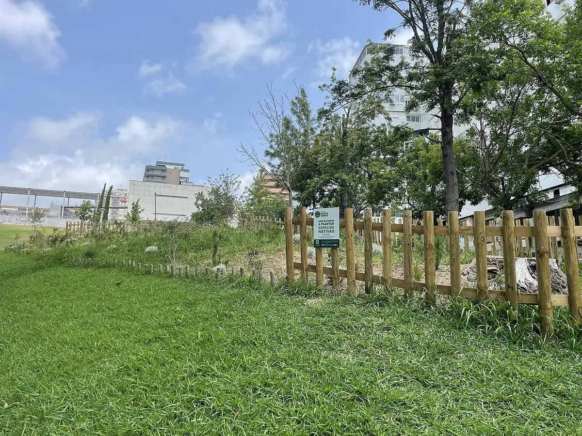 La microforêt du parc urbain Comandante Júlio Ferraz, à Almada