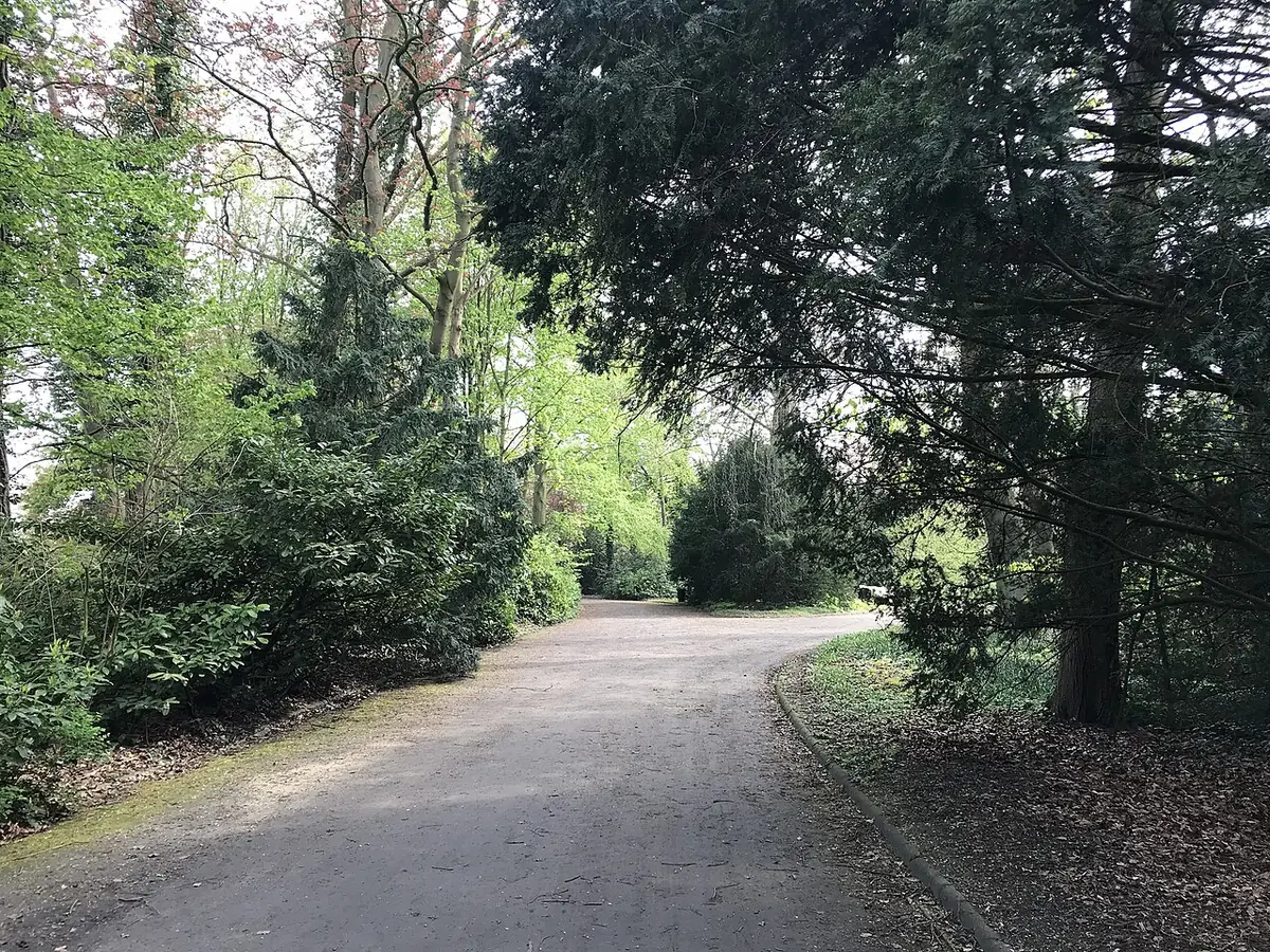 Une allée boisée du parc d’Alost, bordée d’arbres