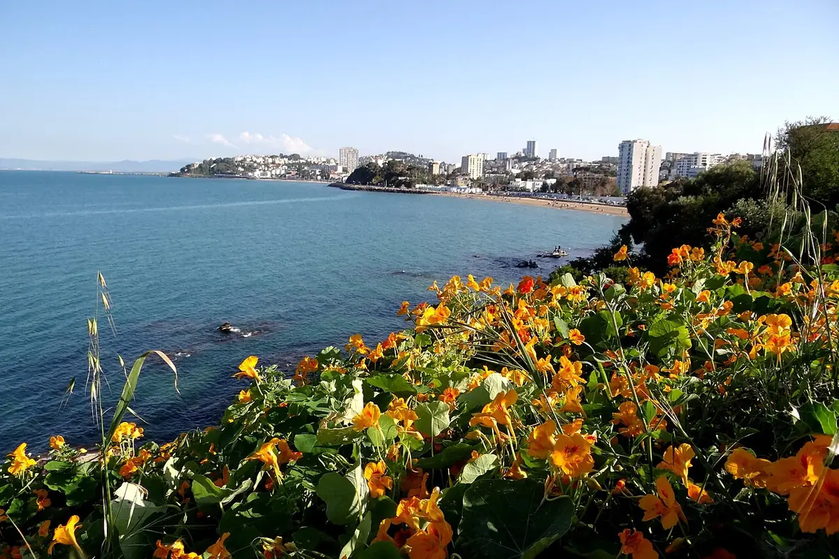 La baie d’Annaba vue depuis la côte, fleurs oranges au premier plan