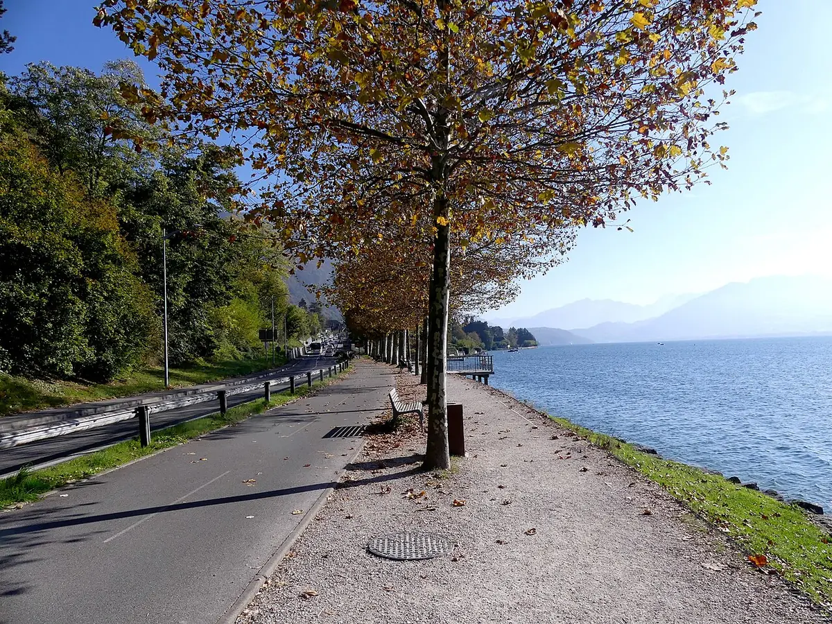 La promenade au bord du lac d’Annecy, ombragée par les arbres