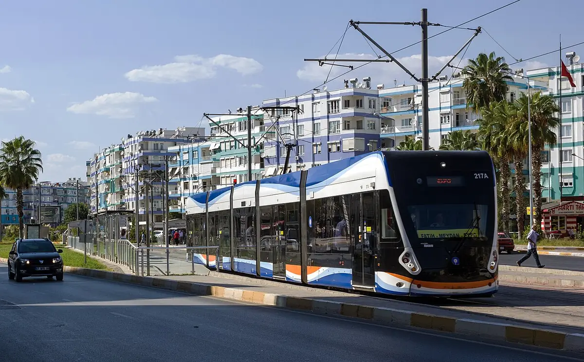 Le tramway Antray longeant une rue bordée d’immeubles et de palmiers
