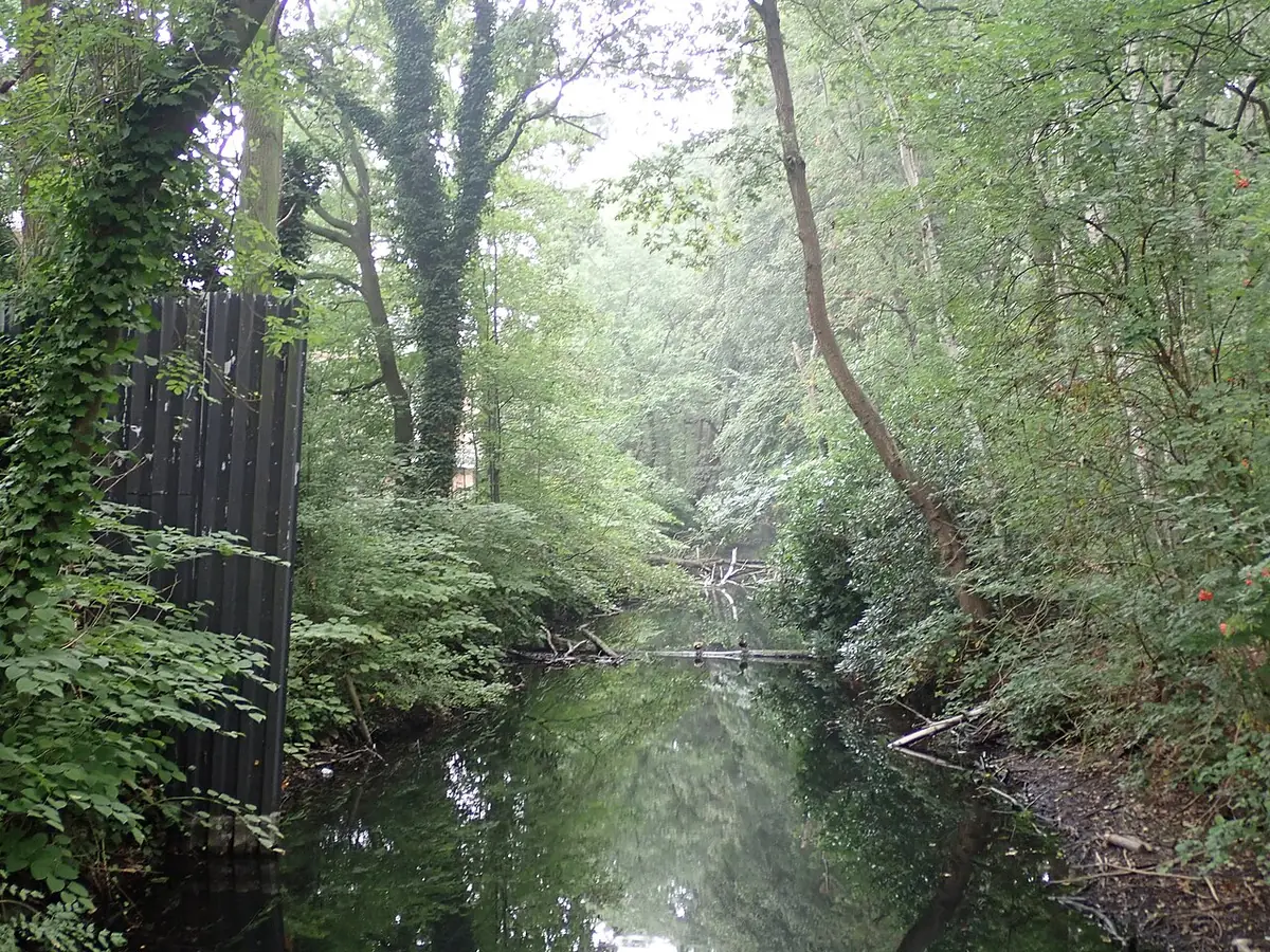 Un chemin verdoyant dans le parc de Bouckenborg à Merksem