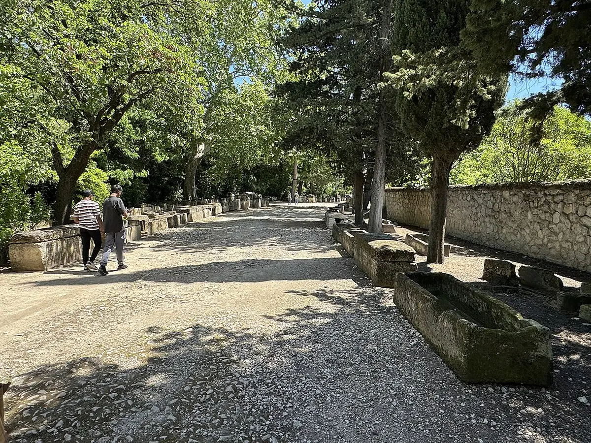 L’allée des Alyscamps à Arles, bordée de sarcophages et d’arbres