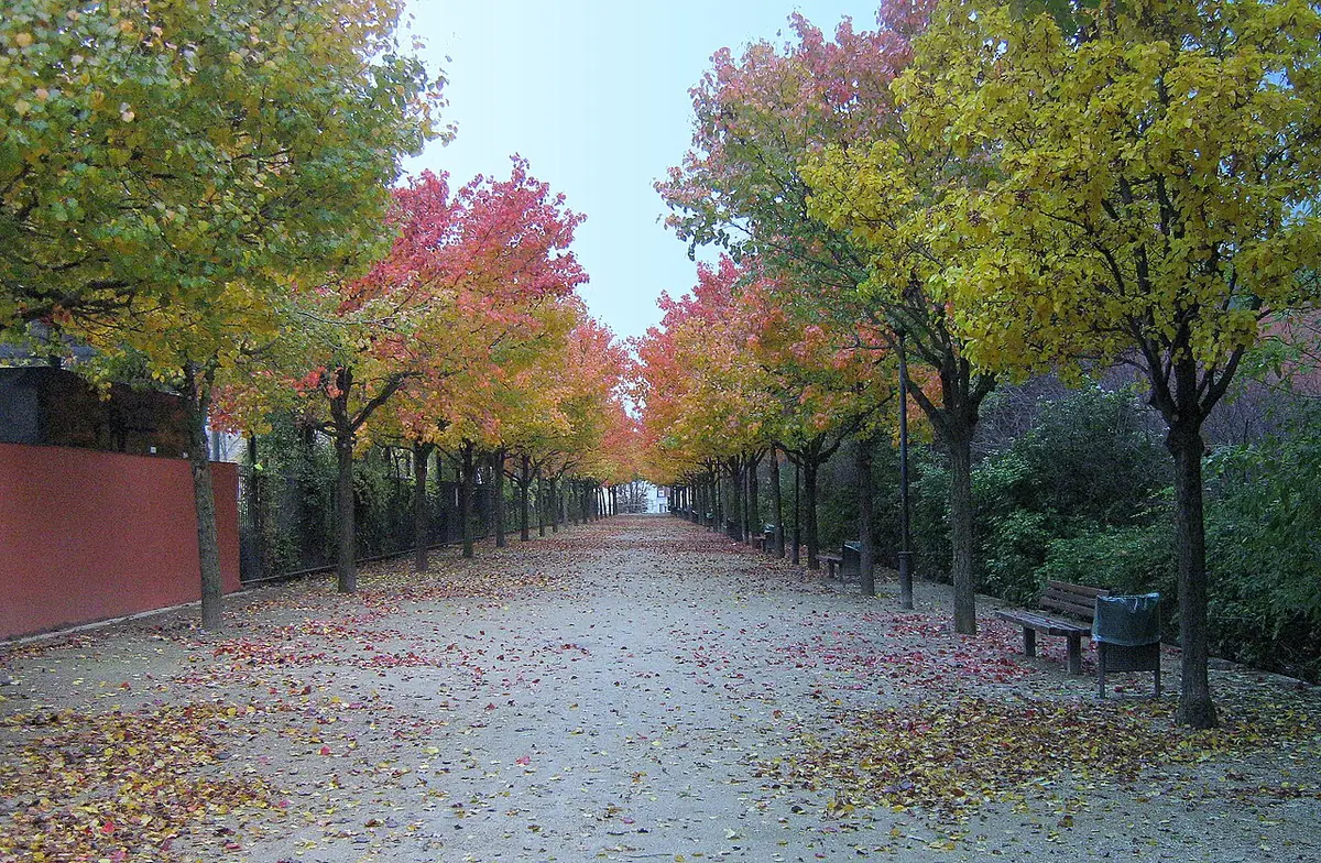 Une allée bordée d’arbres aux couleurs d’automne à Aubervilliers