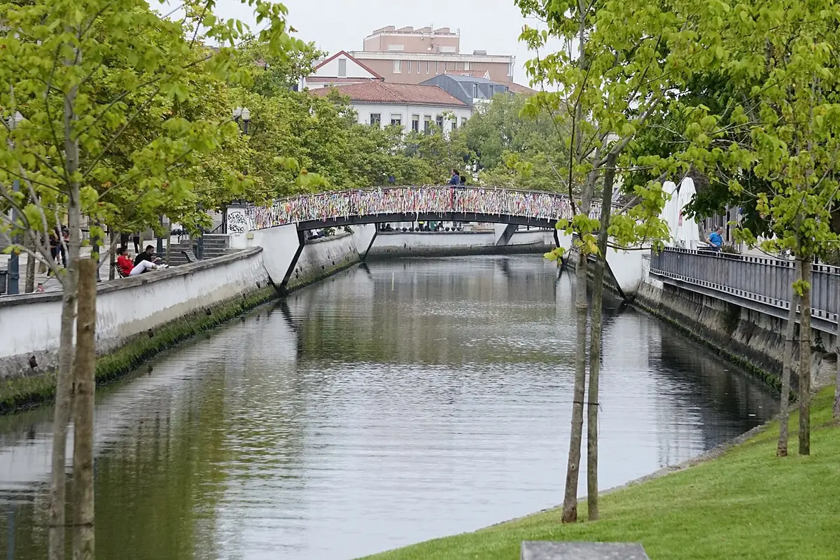 Un canal calme d’Aveiro bordé d’arbres, avec un petit pont
