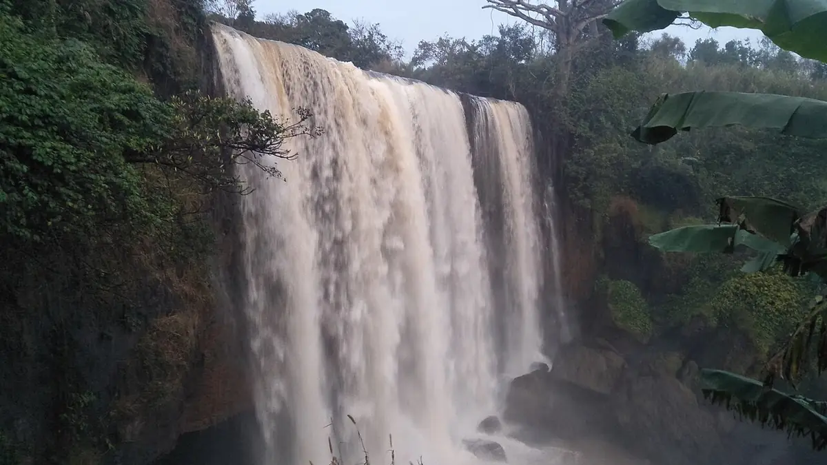 Les chutes de la Metché près de Bafoussam, cascade entourée de végétation