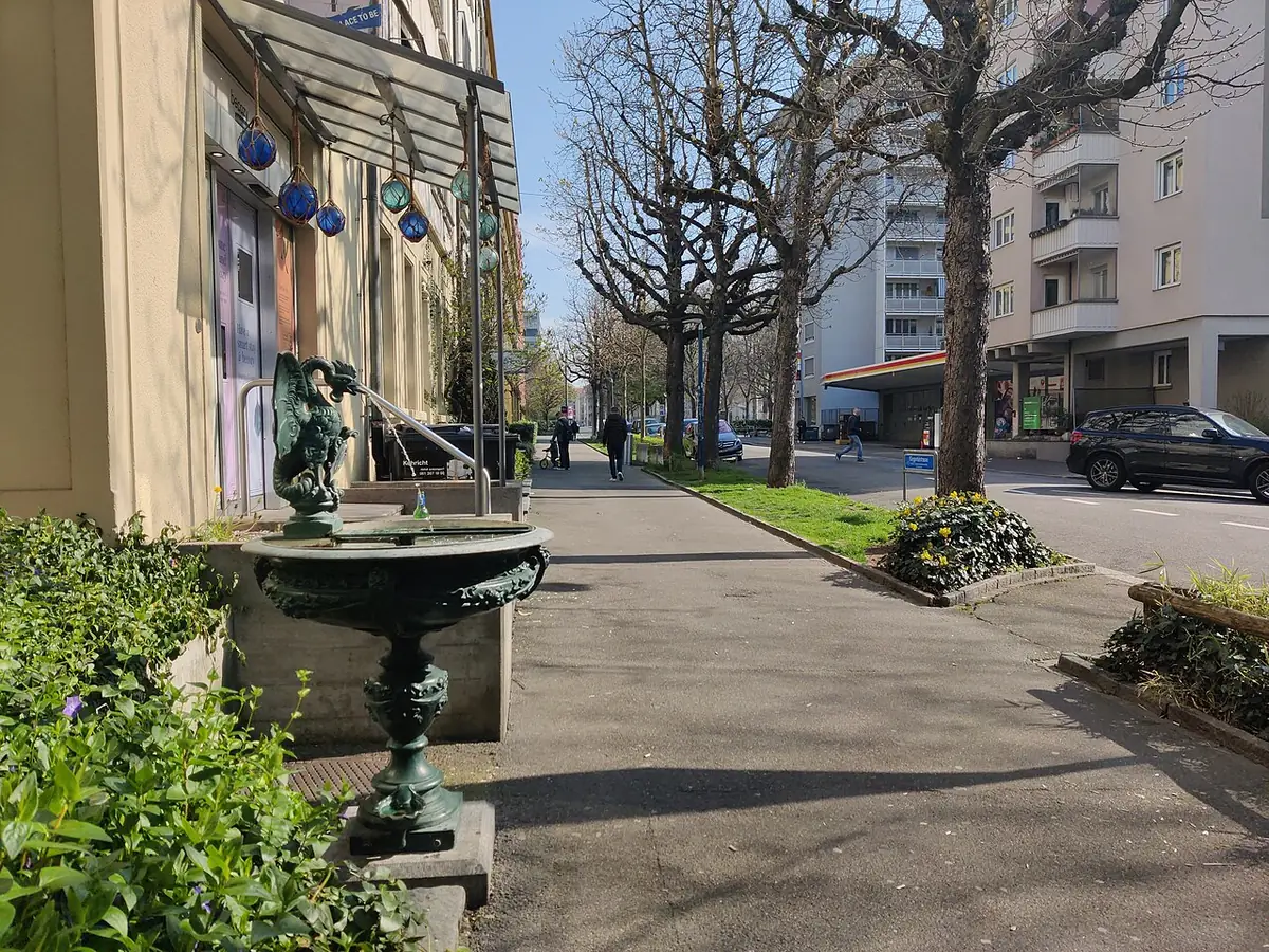 Une allée arborée dans un jardin public à Bâle