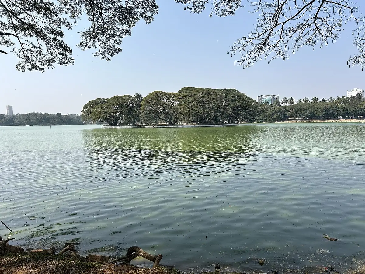 Le lac Ulsoor à Bangalore, son île boisée et des immeubles sur la rive opposée