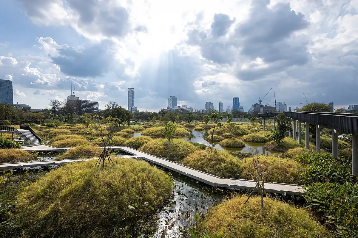 Les passerelles en bois du parc forestier de Benjakitti à Bangkok