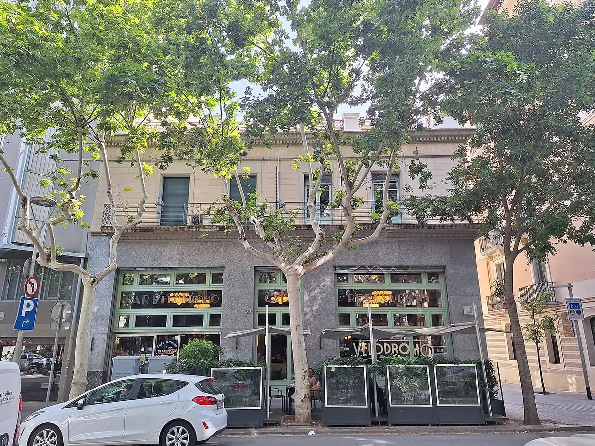 Un café de quartier à Barcelone, sous de grands platanes