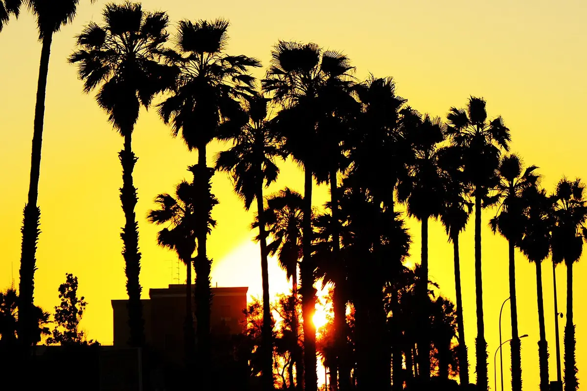 Un coucher de soleil orangé derrière des palmiers à Bari