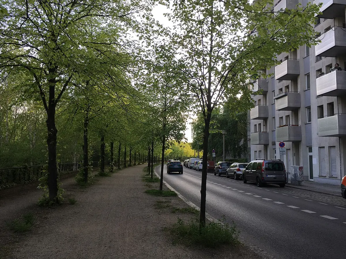 Une rue résidentielle bordée d’arbres et d’immeubles à Berlin
