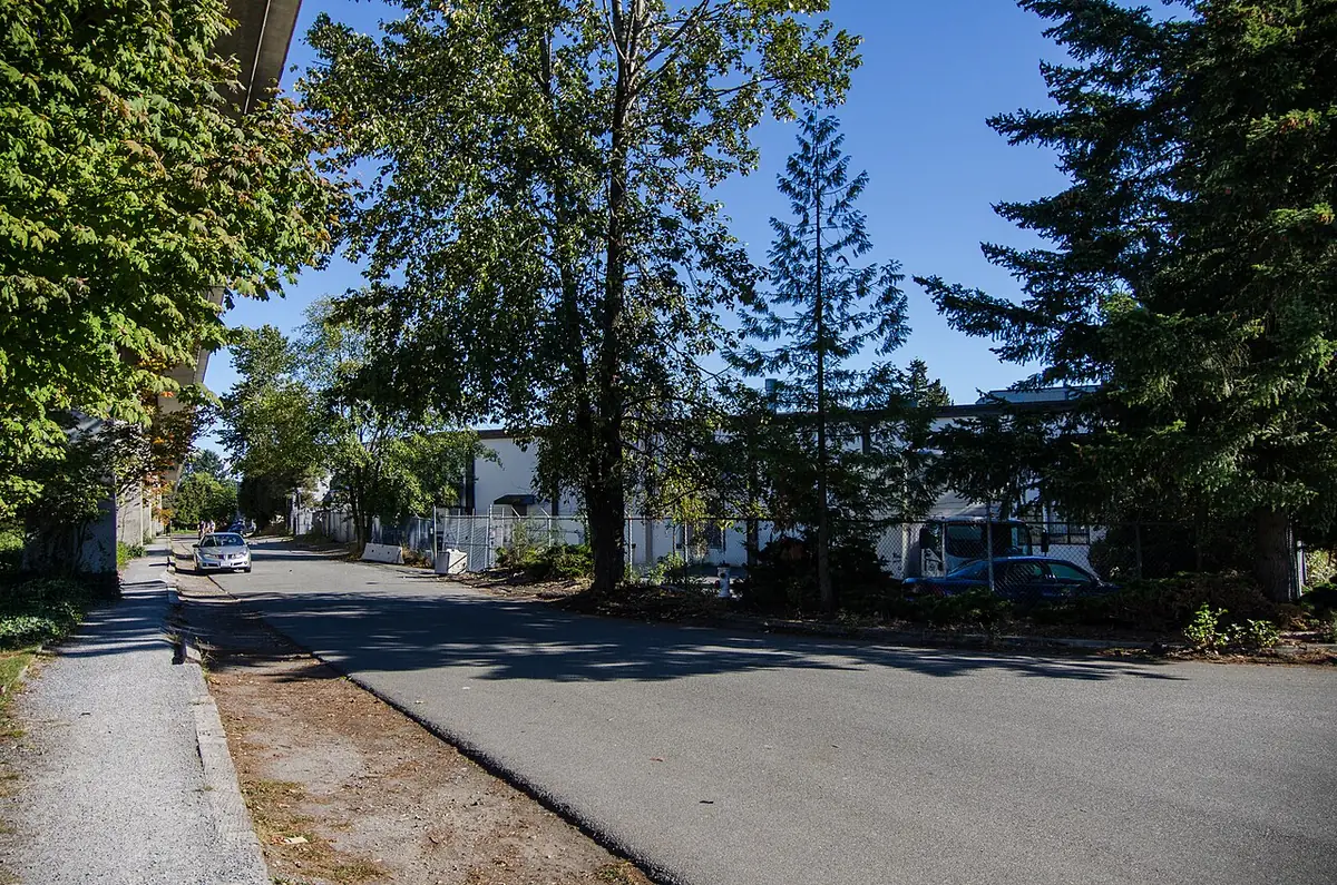 Une rue résidentielle calme à Burnaby, bordée de maisons et d’arbres