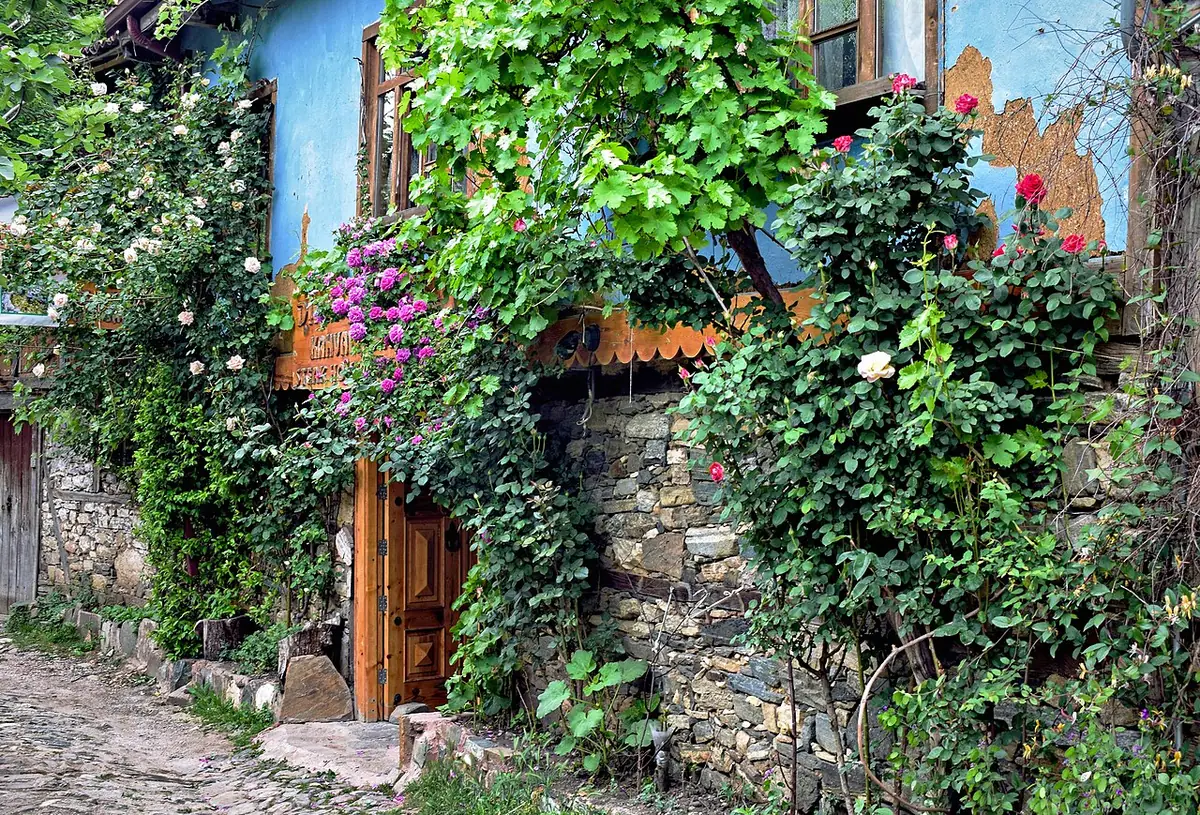 Maison ottomane en pierre couverte de fleurs et de vigne à Cumalıkızık