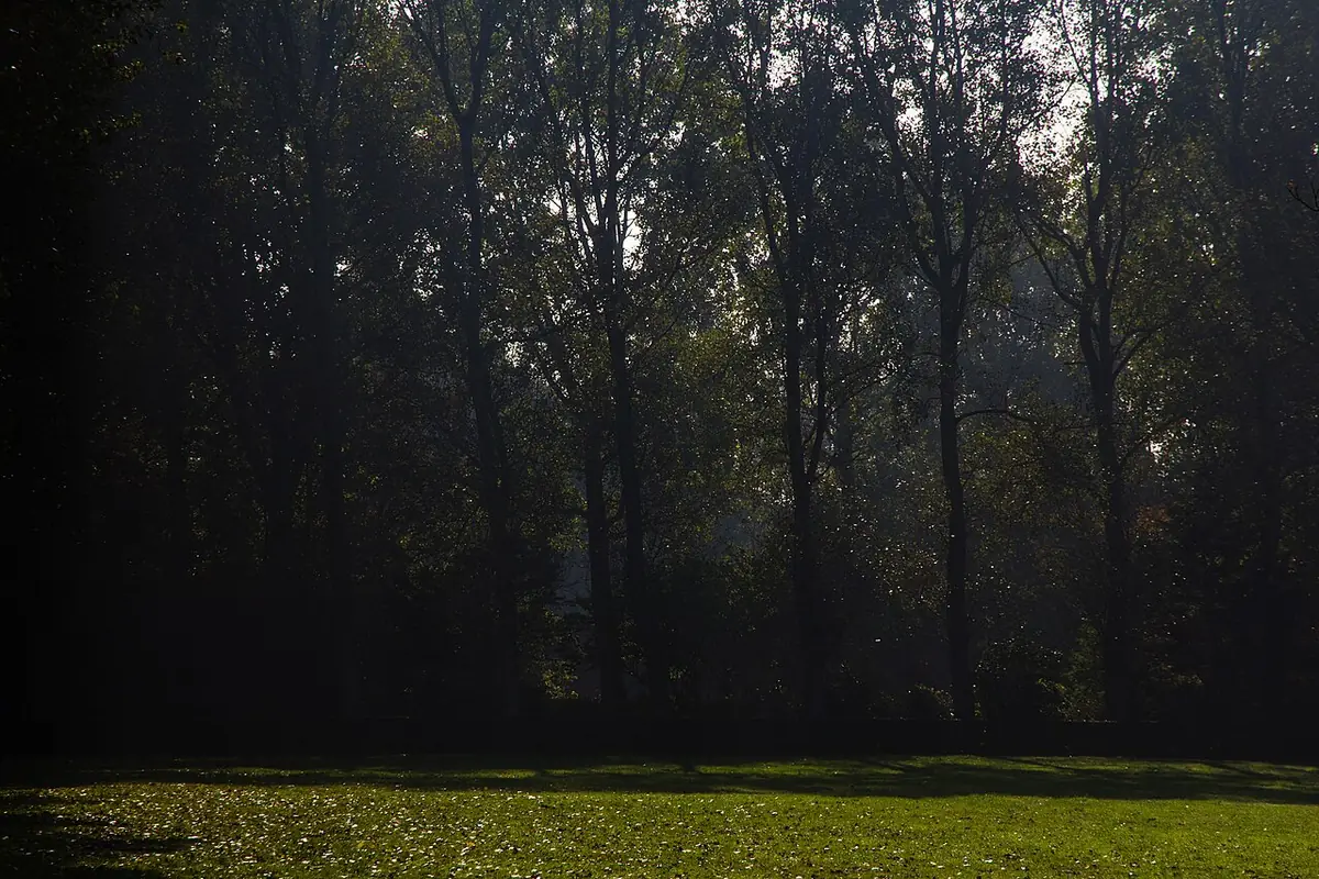 Un parc arboré près de la Citadelle de Calais