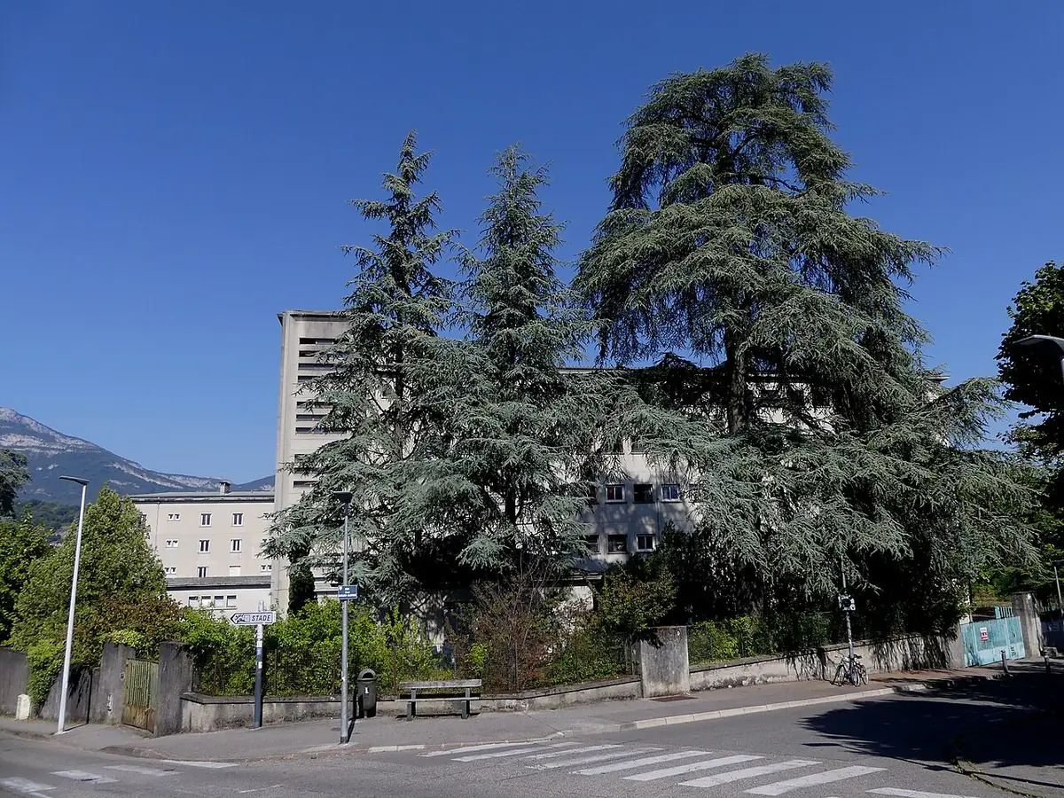 Un immeuble résidentiel entouré d’arbres à Chambéry