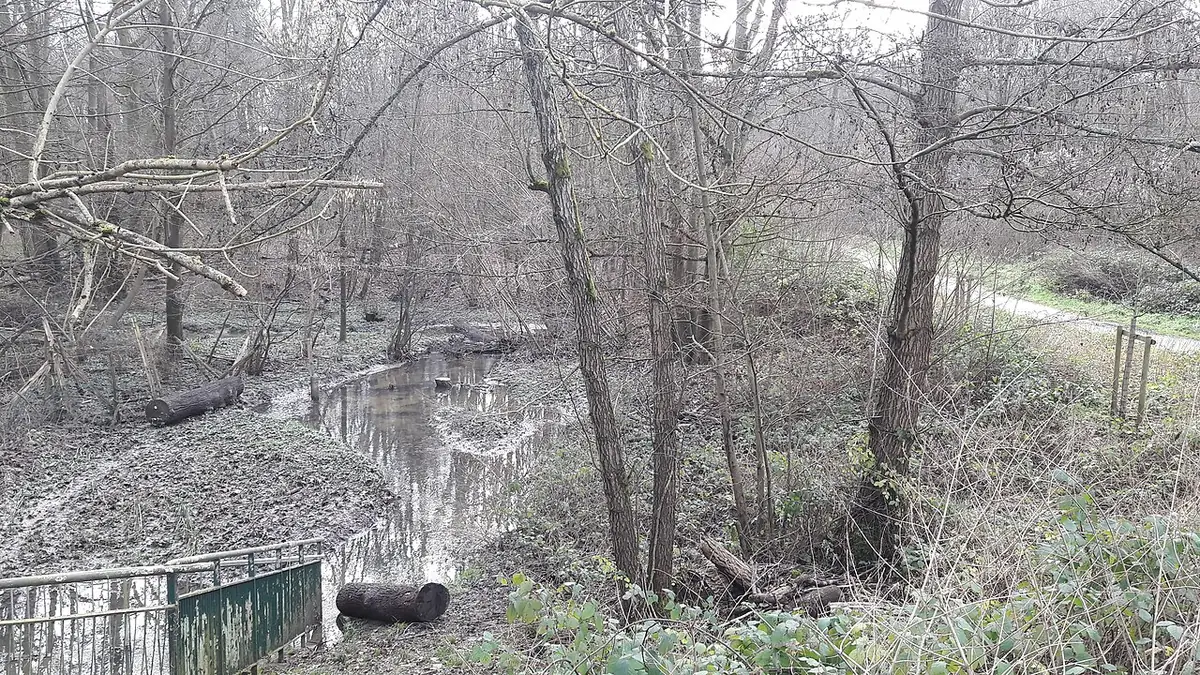 Le ru de Merdereau serpentant à travers le Bois de Grâce