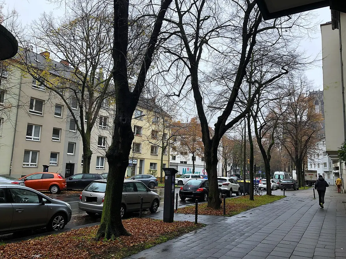 Allée d’arbres dénudés le long d’une rue de Cologne, bordée d’immeubles et de voitures garées