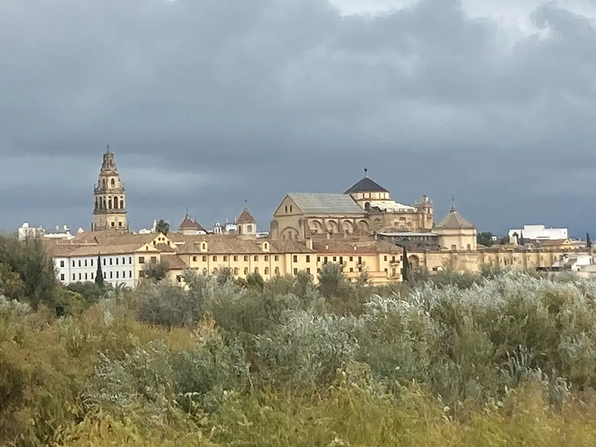 La mosquée-cathédrale de Cordoue et son clocher au-dessus de la végétation des Sotos de la Albolafia