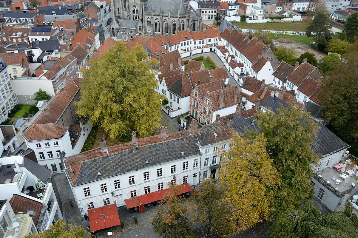 Le béguinage de Courtrai et ses toits de tuiles vus depuis la tour de l’église Saint-Martin