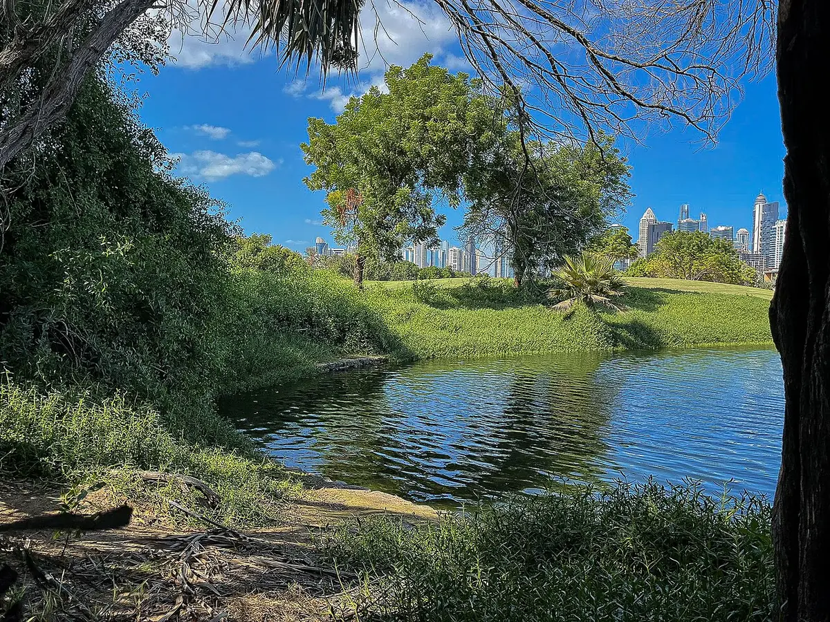 A tree-lined lake at Emirates Hills with the Dubai skyline visible in the distance