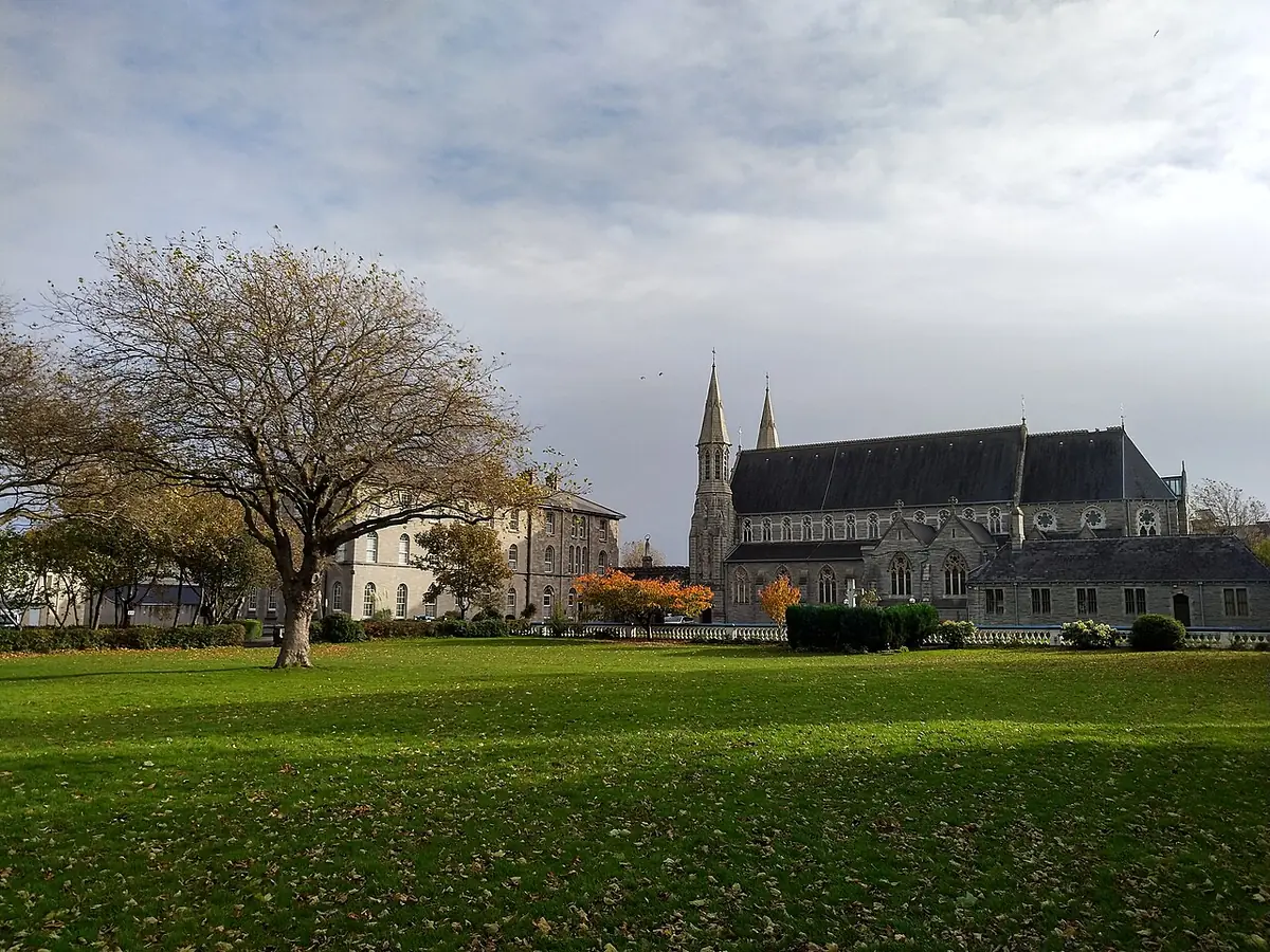 Grassy park with a large tree and the Mary Immaculate Church in Inchicore, Dublin, beyond