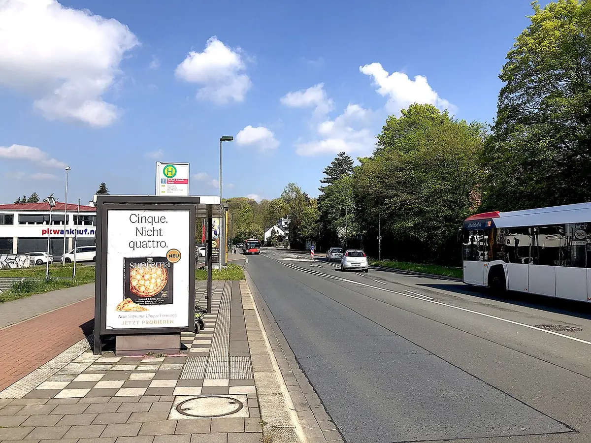 Une rue de Düsseldorf avec arrêt de bus et arbres bordant la chaussée