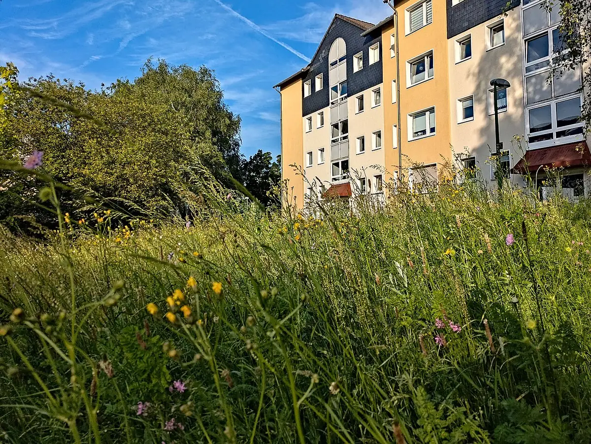 Un immeuble résidentiel coloré à Essen, entouré d’une prairie fleurie
