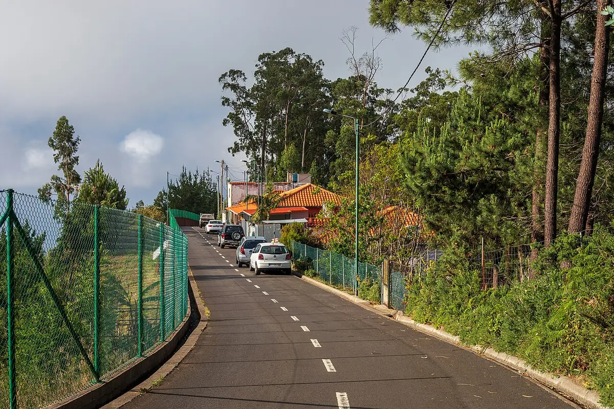 La route Caminho da Barreira, en lisière de verdure sur les hauteurs de Funchal