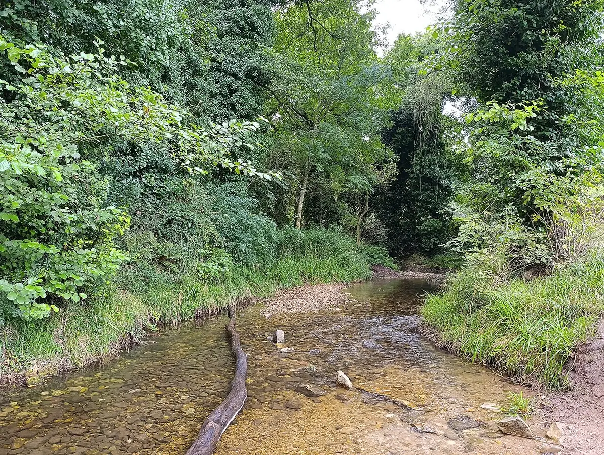 Le Río Piles serpentant entre les arbres près de Gijón