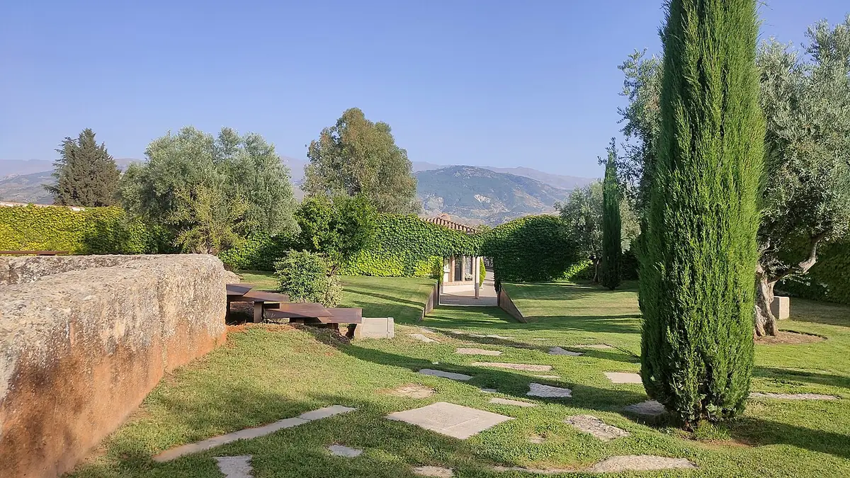 Un jardin planté de cyprès dans un parc de Grenade
