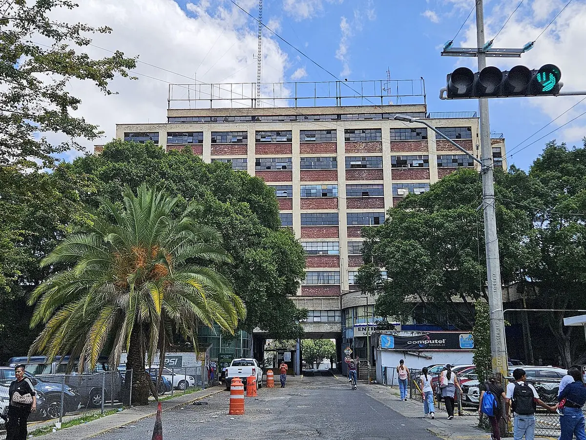 Une rue de Guadalajara bordée de palmiers, avec l’ancienne gare routière en arrière-plan