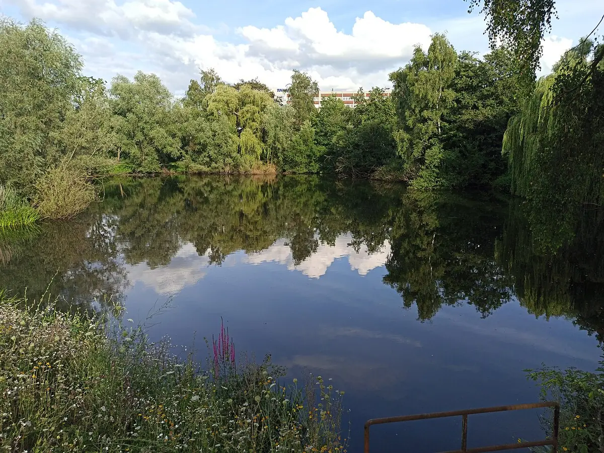 Le Ziegelteich, un étang bordé d’arbres à Hambourg