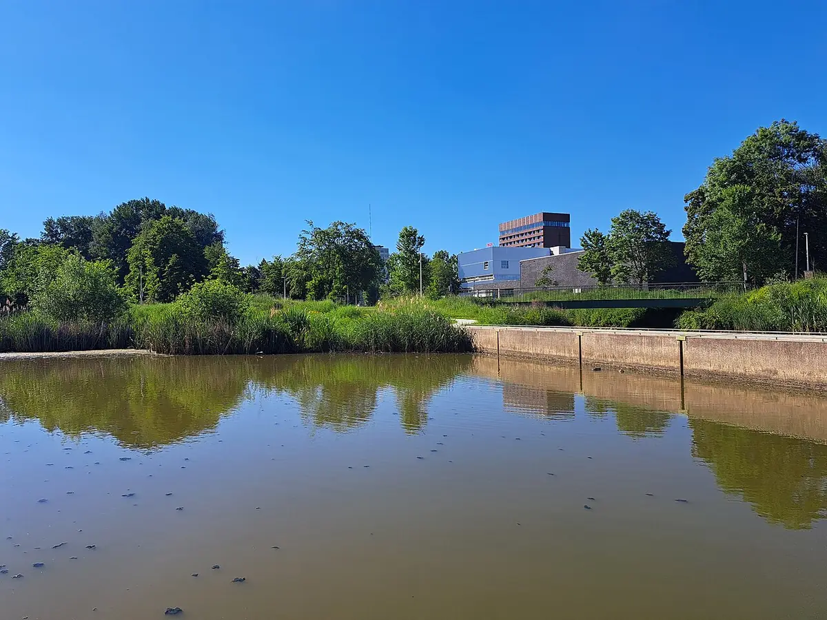 Étang du Kapermolenpark à Hasselt, entouré d’arbres sous un ciel bleu