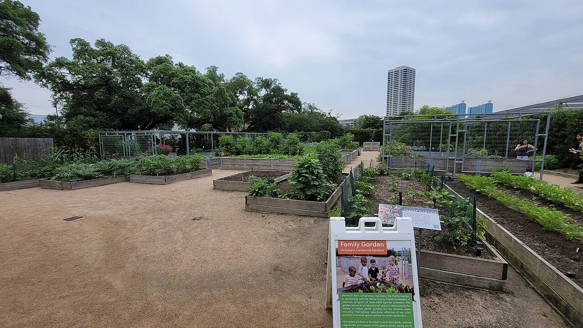 Des parcelles surélevées et une allée de terre aux jardins McGovern Centennial à Houston