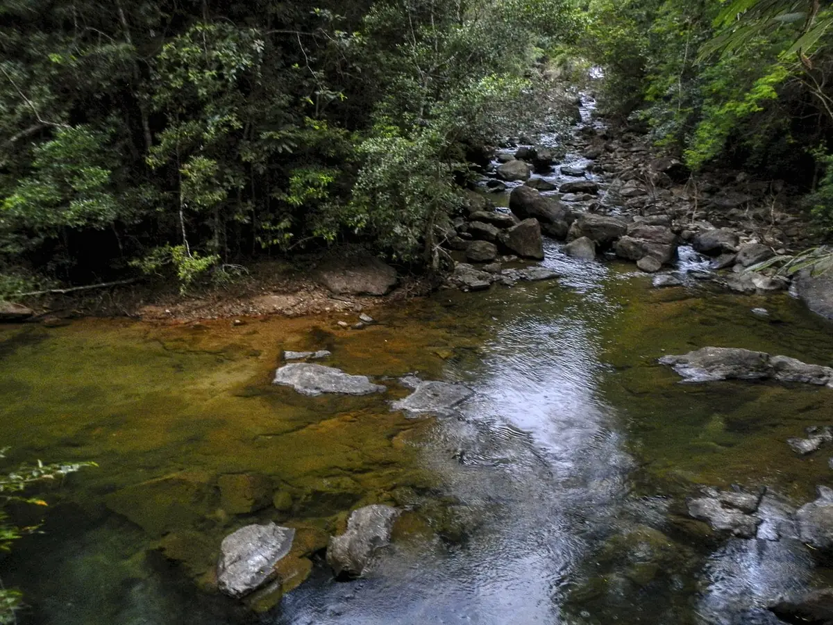 Un cours d’eau calme sous la cascade de Klong Plu à Koh Chang