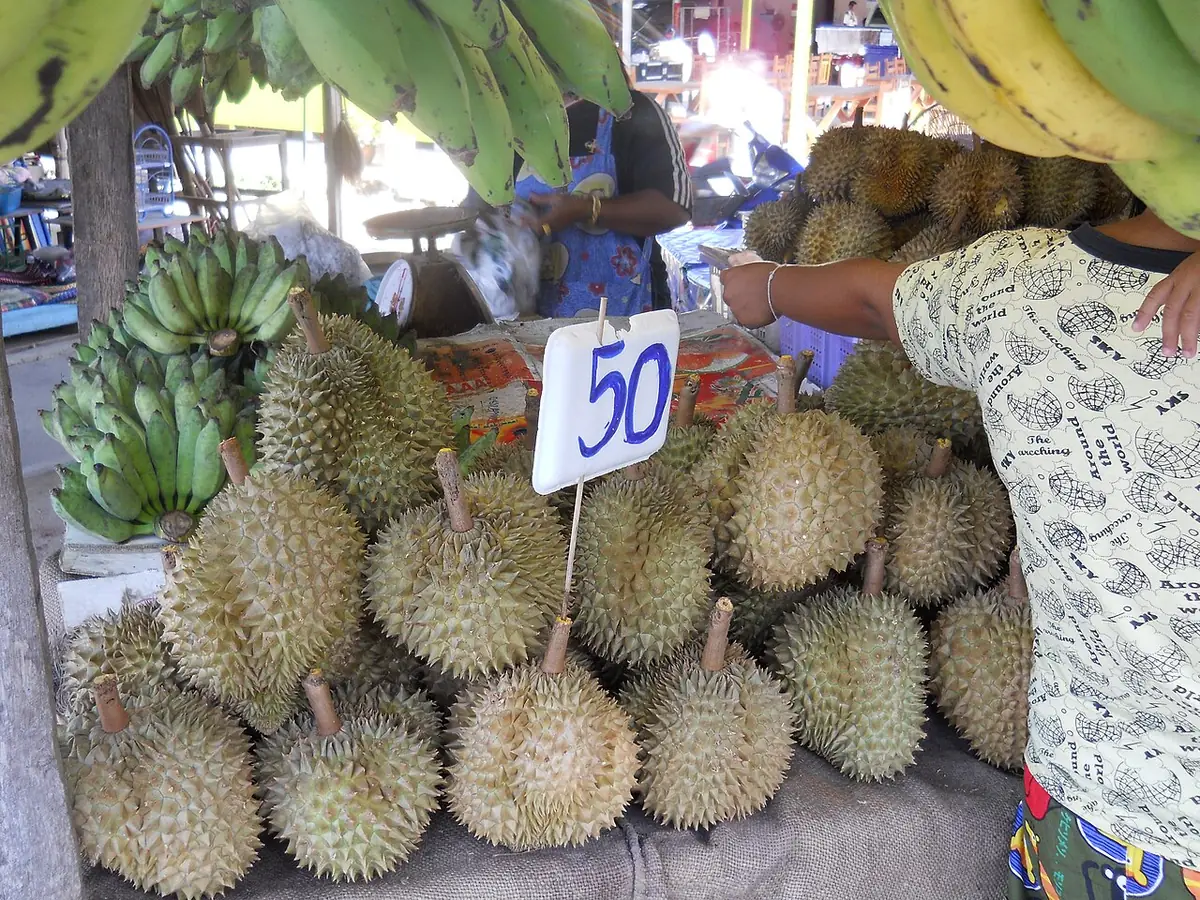 Durians en vente sur un étal de marché à Koh Samui