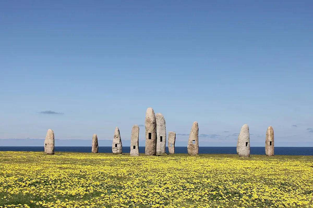Les menhirs du parc des Menhirs face à l’océan, dans un champ de fleurs jaunes