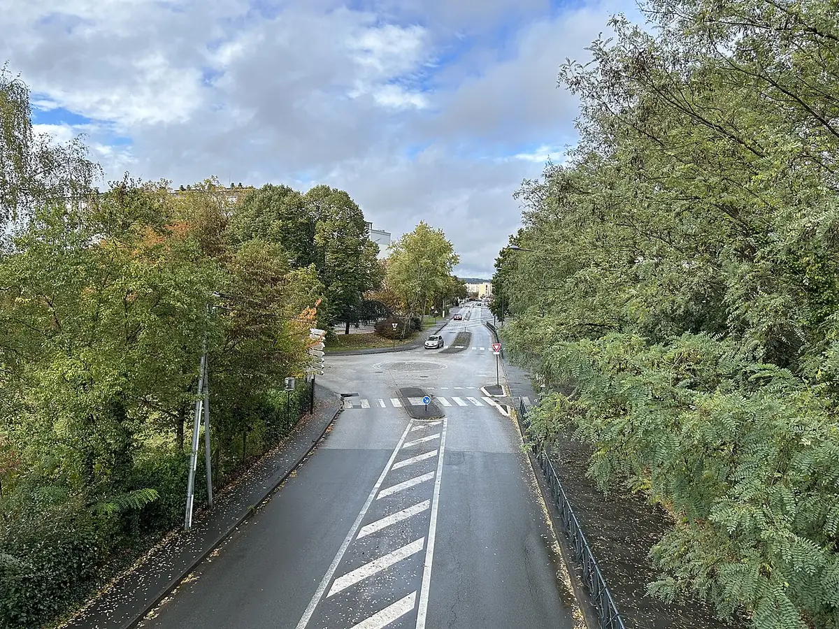 Une rue bordée d’arbres avec passage piéton dans un quartier du Mans