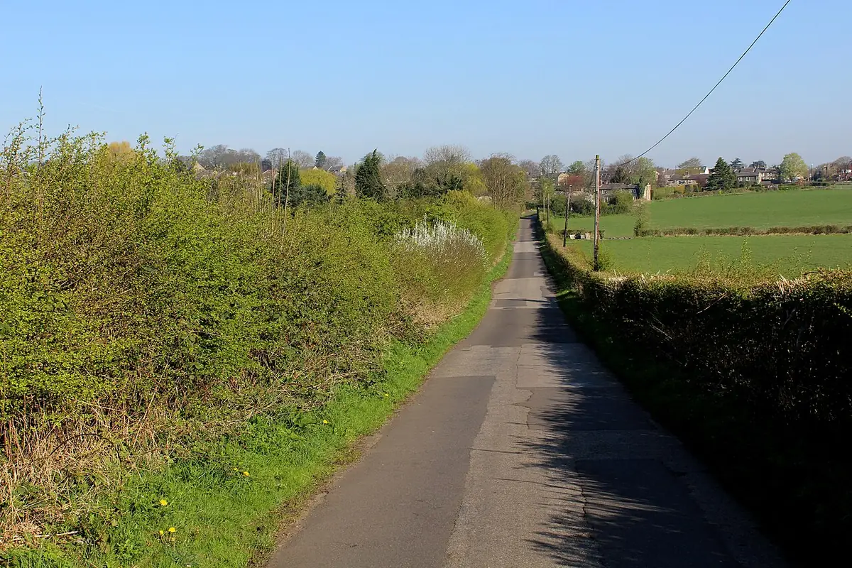 Une route étroite bordée de haies menant vers des maisons en périphérie de Leeds
