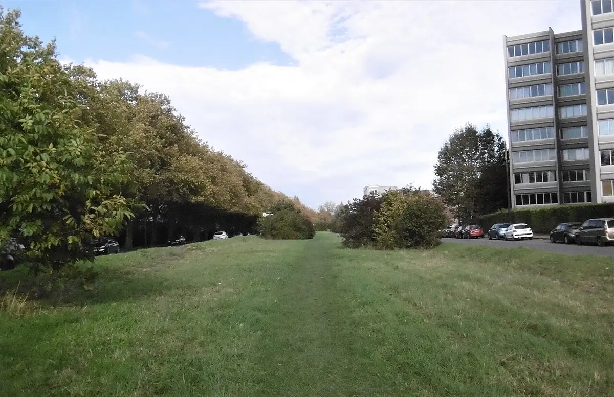 Une allée arborée dans un parc à Lille