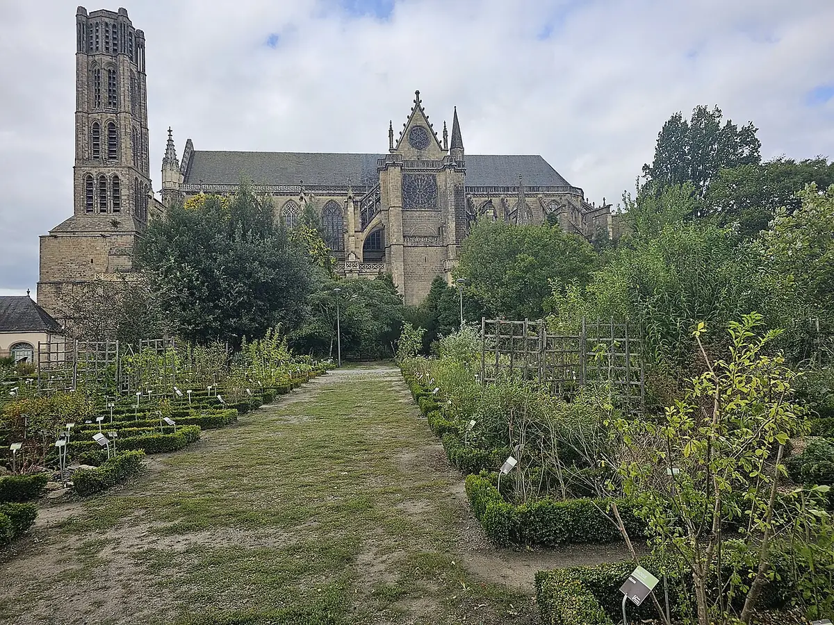 Le jardin botanique de l’évêché avec la cathédrale Saint-Étienne en arrière-plan
