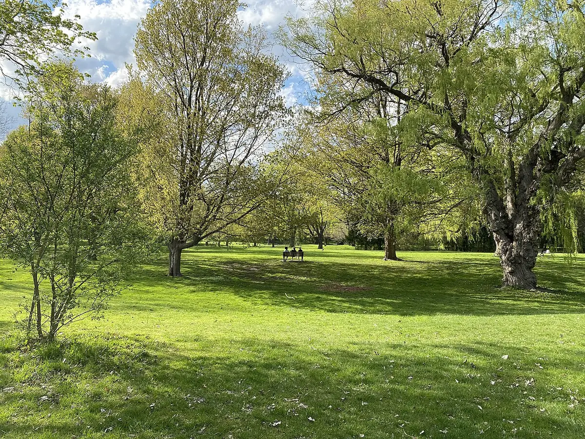 Pelouses et grands arbres au feuillage printanier dans le parc Gibbons