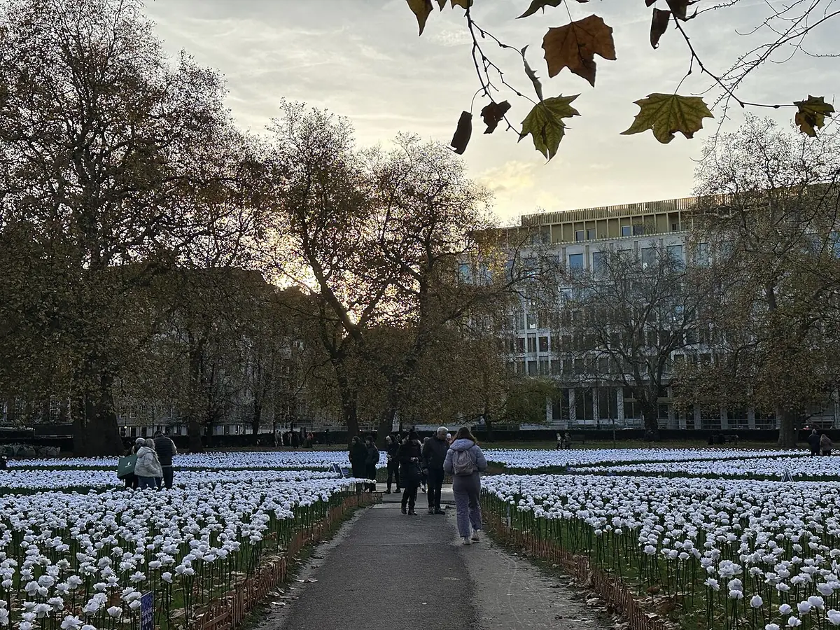A quiet London park with flowering borders at dusk