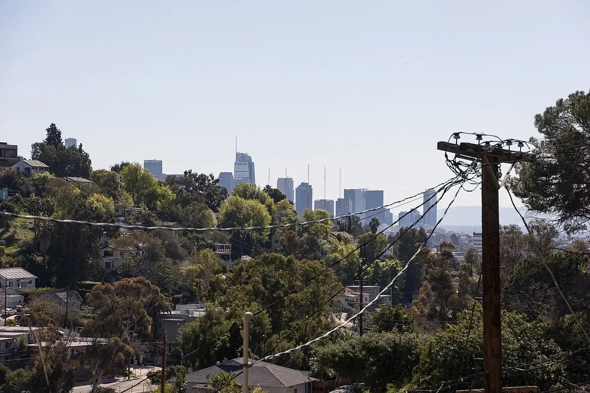 La skyline de Los Angeles vue à travers les arbres et lignes électriques d’Elysian Heights