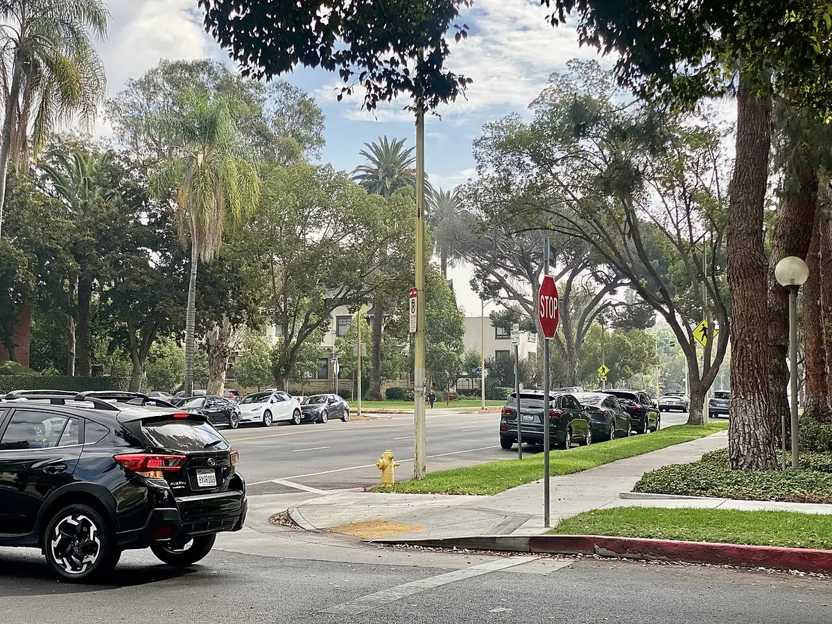 Une rue résidentielle bordée de palmiers à University Park, Los Angeles, maisons et voitures garées