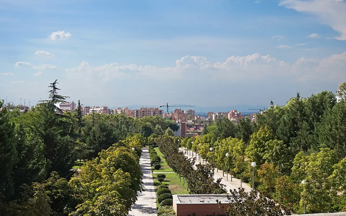 Une allée bordée d’arbres dans un parc du quartier de Tetuán à Madrid